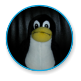 Linux [12]