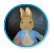 Peter Rabbit [455]